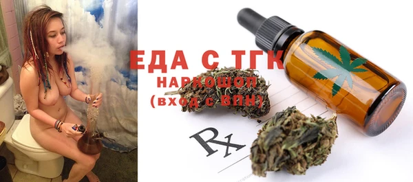 тгк Медногорск